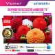 SKYWORTH SUC6500 Android 10 | 4K UHD & Smart AI TV (55 Inch ) Super Narrow Bezel | Netflix, YouTube, Google Assistance, Google Play and with 2 Years SKYWORTH Malaysia Warranty	